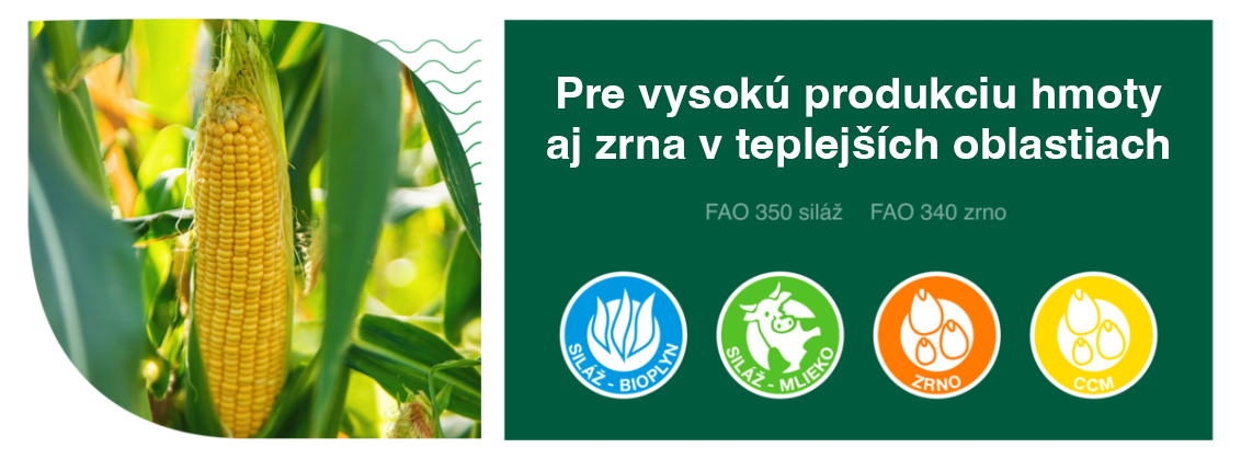 ferrata-banner