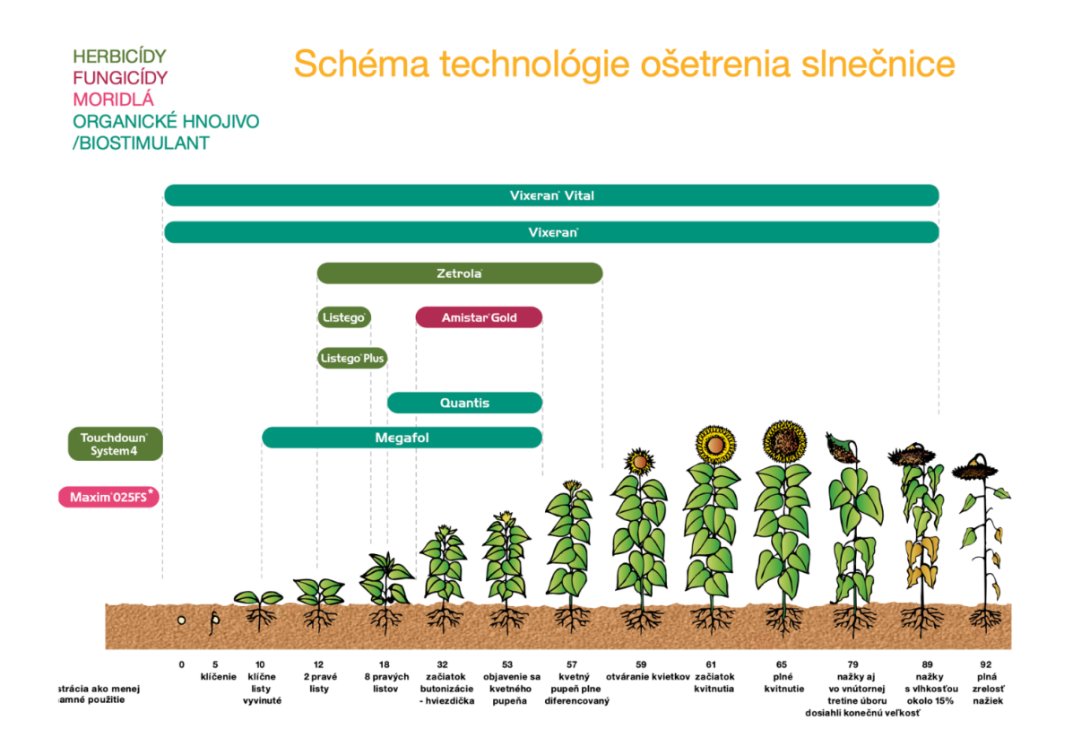schema-slnecnia.png