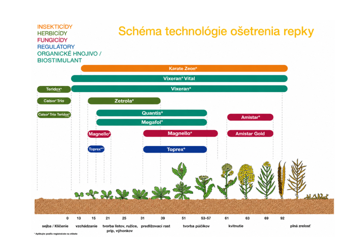 schema.png