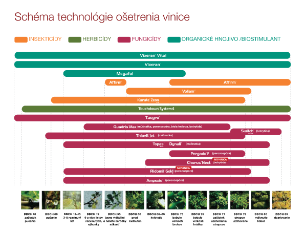 vinice-schema.png