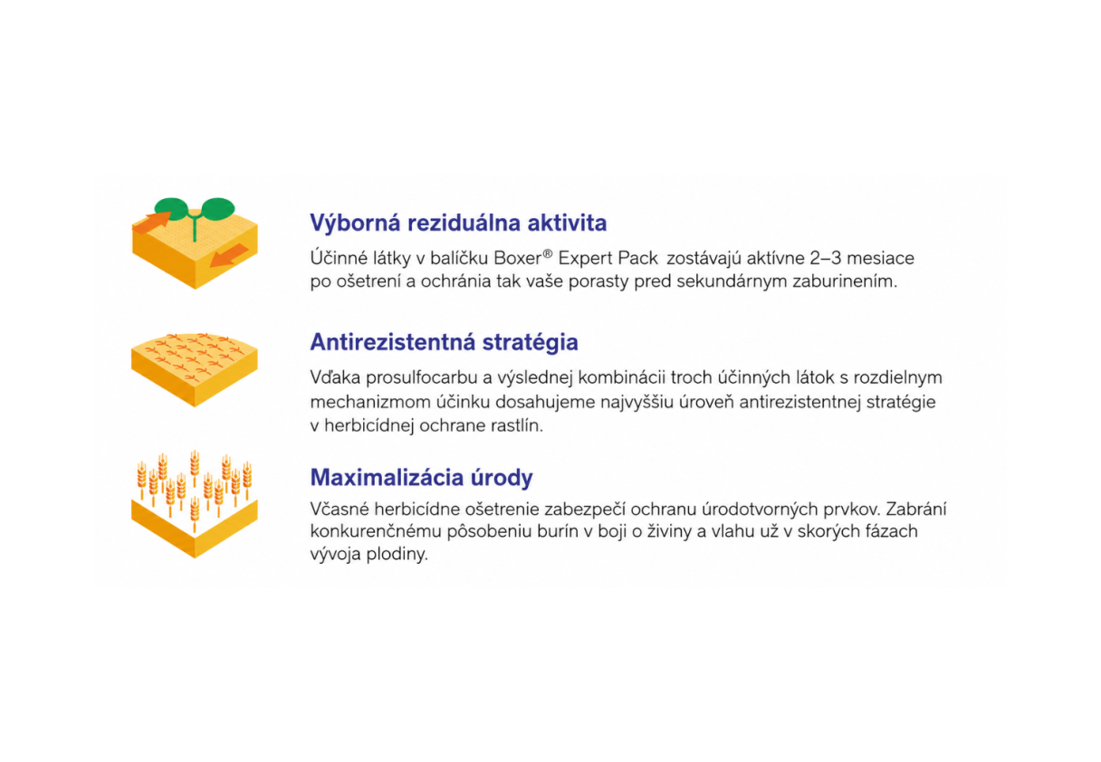 Infografika s ikonami a textom o výhodách mobilného sťahovania a analýze dát