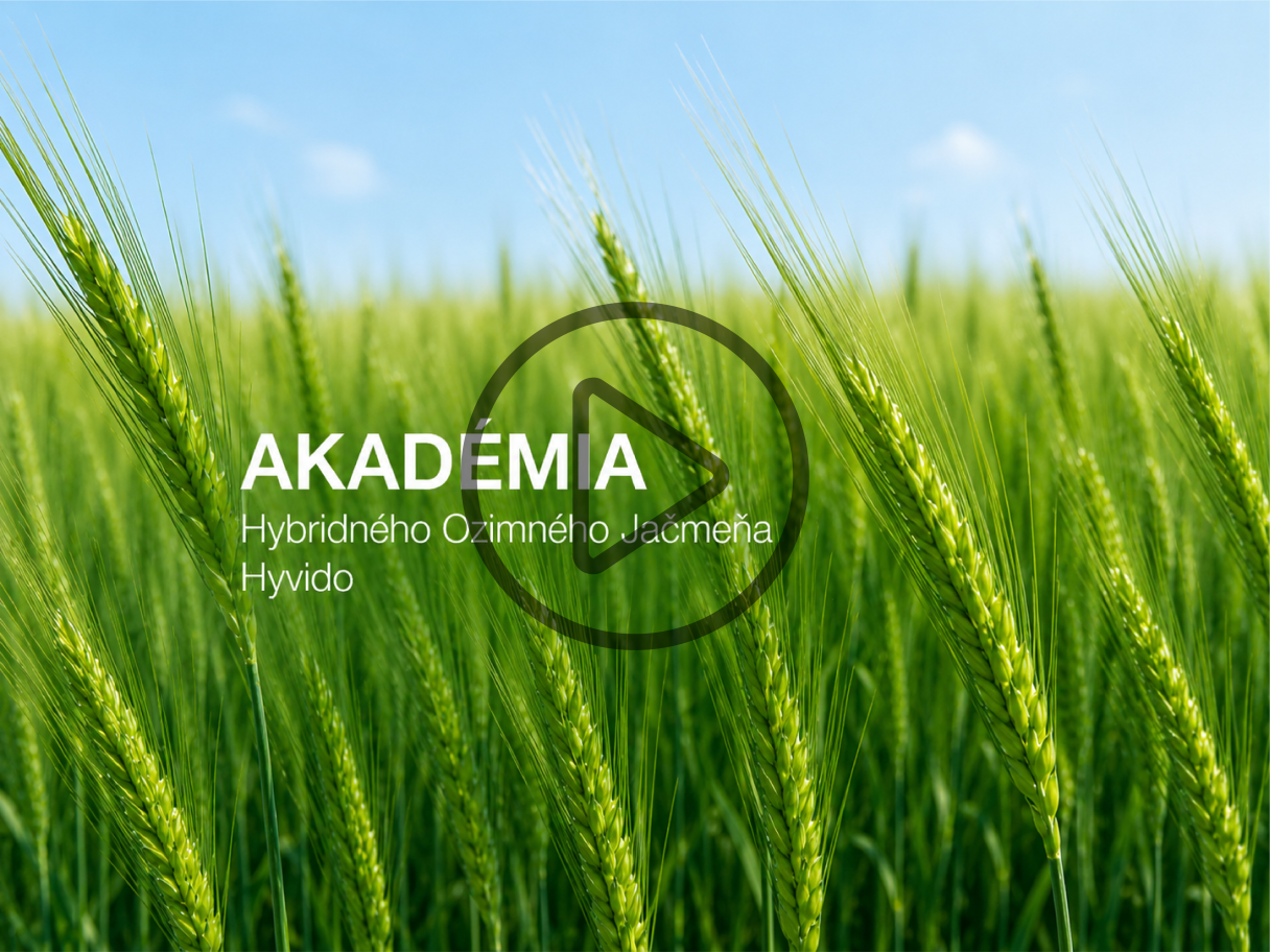 Zelené steblá obilia na poli s nápisom „AKADÉMIA“ a modrou oblohou