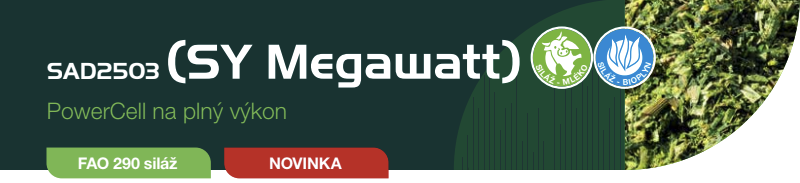 Zelený banner s textom „SY Megawatt“ a tlačidlom „NOVINKA“