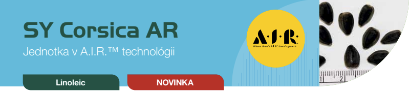 Banner SY Corsica AR s logom A+R a čiernymi listami na bielom pozadí