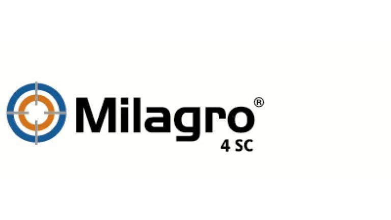milagro syngenta 