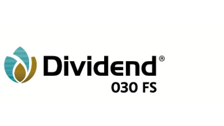dividend_030 syngenta 