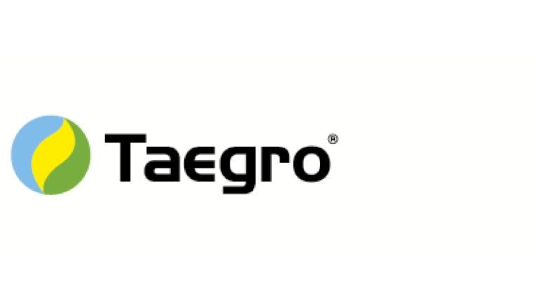 taegro.jpg