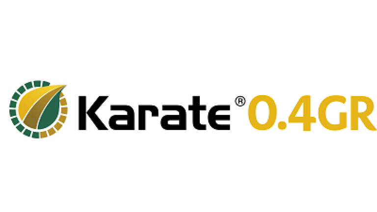 400_x_135_karate_04_gr.png