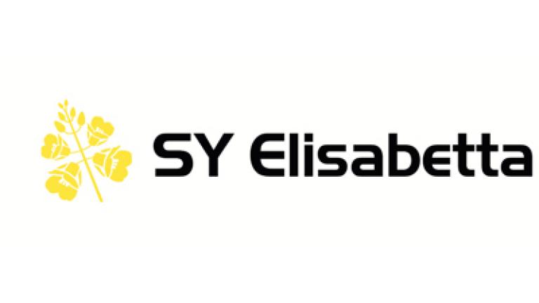 SY Elisabetta repka ozimna Syngenta