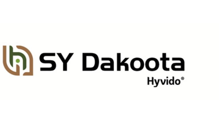 SY Dakoota hybridný ozimý jačmeň Syngenta
