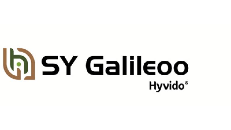SY Galileoo hybridný ozimý jačmeň Syngenta