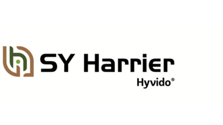 SY Harrier hybridný ozimný jačmeň Syngenta
