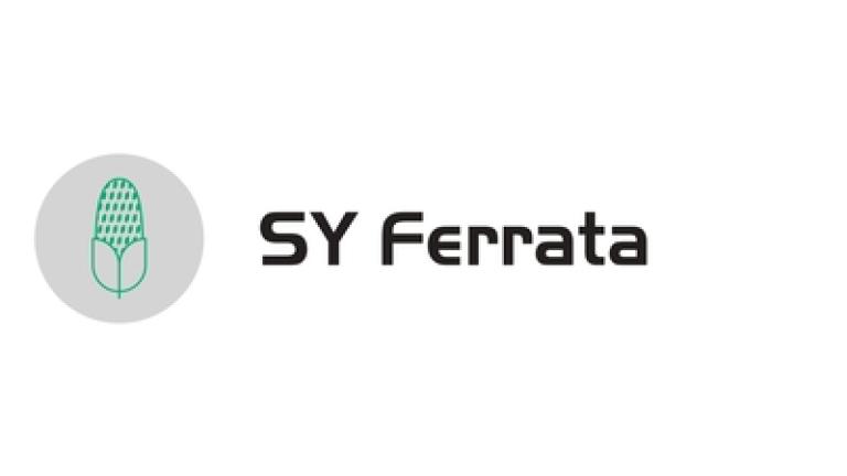 sy-ferrata.jpg