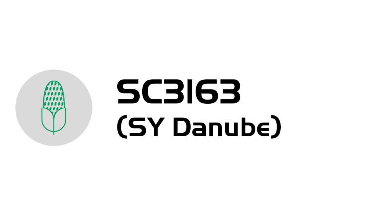 danube-logo