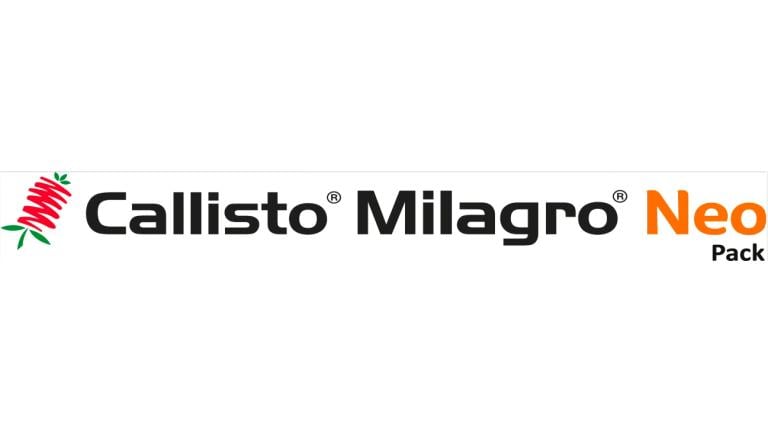 callisto.jpg